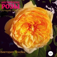 . Английские розы. Лучшие сорта
