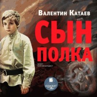 . Сын полка
