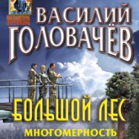. Большой лес. Многомерность