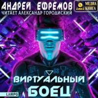 . Виртуальный боец