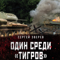 Сергей Зверев. Один среди «тигров»