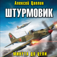 Алексей Цаплин. Штурмовик. Минута до цели