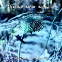 Михаил Юрьевич Четыркин. Особый район направо