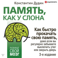 Константин Дудин. Память, как у слона. Как быстро прокачать свою память, даже если вы регулярно забываете выключить утюг или закрыть дверь