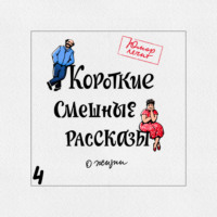 Екатерина Никитина. Короткие смешные рассказы о жизни 4