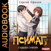 Сергей Ефанов. Судьба Супера