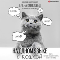 . На одном языке с кошкой