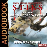 Лебэл Дан. Долгая дорога в стаб. Книга 3. Вера в будущее