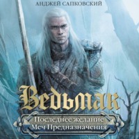 . Последнее желание. Меч предназначения