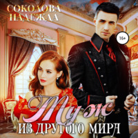 . Муж из другого мира