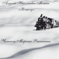 . В снегу