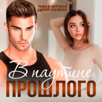 Дина Илина. В паутине прошлого