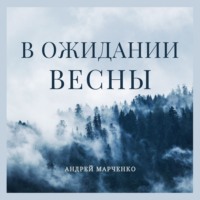 Андрей Владимирович Марченко. В ожидании весны