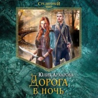 . Дорога в ночь