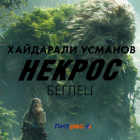 Хайдарали Усманов. Некрос. Беглец