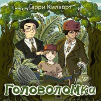 Гарри Килворт. Головоломка