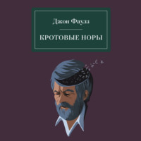 . Кротовые норы