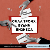 . Сила троих. Будни бизнеса