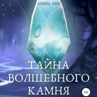 Арина Рин. Тайна Волшебного Камня