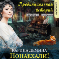 . Провинциальная история (книга 2 часть 2)