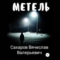 Вячеслав Валерьевич Сахаров. Метель