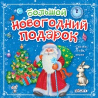 . Большой новогодний подарок