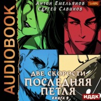 . Последняя петля. Книга 9. Две скорости