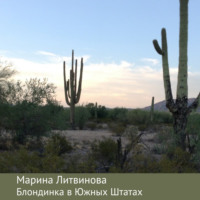 . Блондинка в Южных Штатах