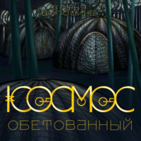 Софья Вячеславовна Волошина. Космос обетованный