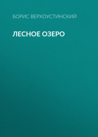 . Лесное озеро