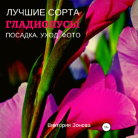 . Гладиолусы. Лучшие сорта