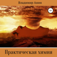 Владимир Анин. Практическая химия