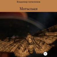 Владимир Владимирович Апчелимов. Мотыльки