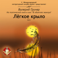 Валерий Грунер. Легкое крыло