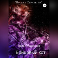 Павел Мамонтов. Бойцовый кот