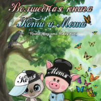 Ирина Никулина Имаджика. Волшебная книга Коти и Моти