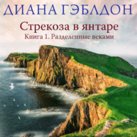 . Стрекоза в янтаре. Книга 1. Разделенные веками