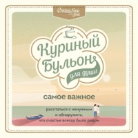 Эми Ньюмарк. Куриный бульон для души. Самое важное. Расстаться с ненужным и обнаружить, что счастье всегда было рядом