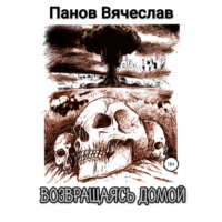 Вячеслав Владимирович Панов. Возвращаясь домой