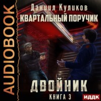 . Двойник. Книга 3. Квартальный Поручик