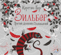Керстин Гир. Зильбер. Третий дневник сновидений