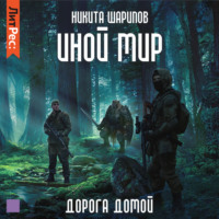 . Иной мир. Дорога домой