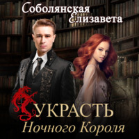 Елизавета Соболянская. Украсть Ночного Короля