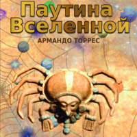 Армандо Торрес. Паутина Вселенной