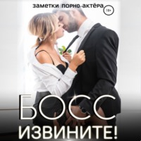 Заметки порно-актёра. Босс, извините!