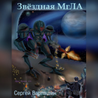 Сергей Александрович Варлашин. Звездная МгЛА