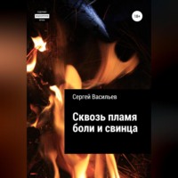 Сергей Васильев. Сквозь пламя боли и свинца