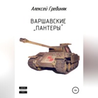 Алексей Владимирович Гребиняк. Варшавские «Пантеры»