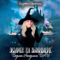 . Экзамен на выживание. Ведьмы Академии ВАИ