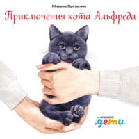 Юлиана Протасова. Приключения кота Альфреда